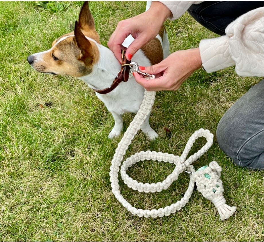 Make your own Knotted Dog Lead / Dog Leash Kit.