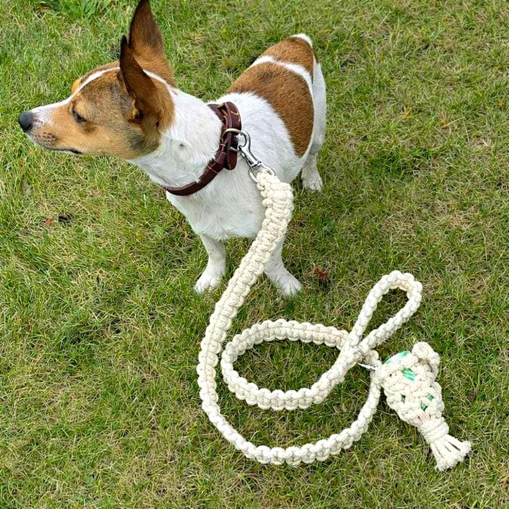 Make your own Knotted Dog Lead / Dog Leash Kit.