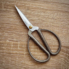 Scissors sharp pointed nose