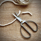 Scissors sharp pointed nose