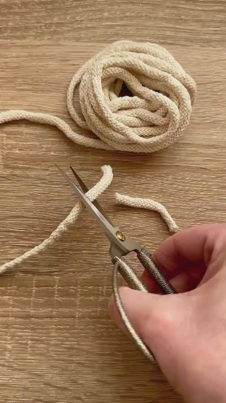 Scissors sharp pointed nose
